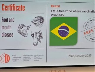 Piauí conquista oficialmente o certificado de zona livre de febre aftosa sem vacinação, abrindo as portas do mercado mundial