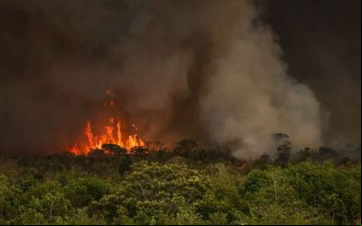 Câmara aprova aumento de punição a quem provocar incêndios florestais