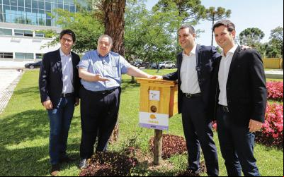 Abelhas sem ferrão ganham protagonismo em SP com regulamentação de meliponários e ração inovadora 
